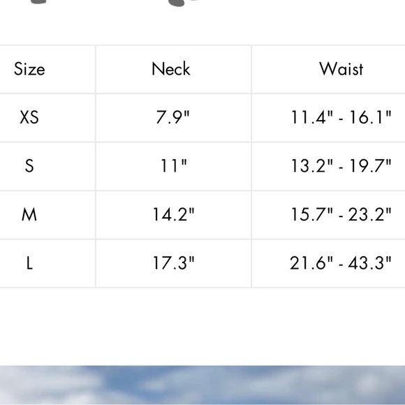 Sydney & Co Pumpkin Fall Dog Harness - Picture 7 of 7